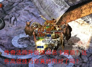 ���淨ʦ������ȴ�ܿ�ƿ������Щ��Ч����������ö�����