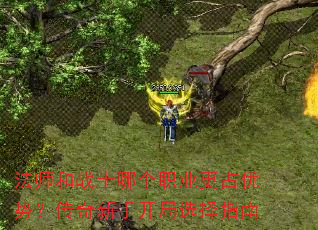 ��ʦ��սʿ�ĸ�ְҵ��ռ���ƣ��������ֿ���ѡ��ָ��