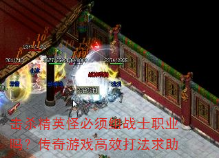 击杀精英怪必须组战士职业吗?传奇游戏高效打法求助 击杀精英怪必须组战士职业吗?传奇游戏高效打法求助