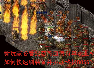����ұؿ���̬��Ѫ���浥ְҵ˽������ο���ˢװ������ս�ռ�BOSS��