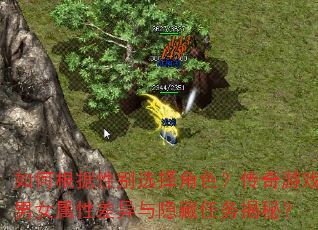 如何根据性别选择角色?传奇游戏男女属性差异与隐藏任务揭秘? 如何根据性别选择角色?传奇游戏男女属性差异与隐藏任务揭秘?