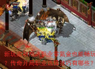 ����ҳ���ѡְҵ��봽�Ҳ�ܳ��棿���濪��ְҵѡ��������Щ��