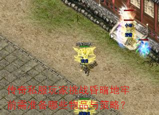 传奇私服玩家挑战昏暗地牢前需准备哪些物品与策略? 传奇私服玩家挑战昏暗地牢前需准备哪些物品与策略?