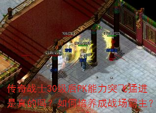 传奇战士30级后PK能力突飞猛进是真的吗?如何培养成战场霸主? 传奇战士30级后PK能力突飞猛进是真的吗?如何培养成战场霸主?