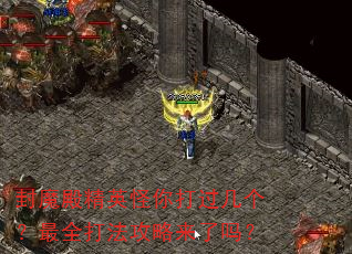封魔殿精英怪你打过几个?最全打法攻略来了吗? 封魔殿精英怪你打过几个?最全打法攻略来了吗?