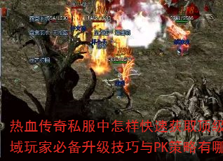 热血传奇私服中怎样快速获取顶级装备?私域玩家必备升级技巧与PK策略有哪些? 热血传奇私服中怎样快速获取顶级装备?私域玩家必备升级技巧与PK策略有哪些?