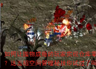 如何让囤物成瘾的玩家实现仓库零浪费?这五招空间管理秘技你试过了吗? 如何让囤物成瘾的玩家实现仓库零浪费?这五招空间管理秘技你试过了吗?