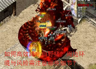 如何高效蹲守白野猪?周边环境与风险需注意哪些细节? 如何高效蹲守白野猪?周边环境与风险需注意哪些细节?