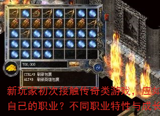 新玩家初次接触传奇类游戏,应如何选择适合自己的职业?不同职业特性与成长路线详解 新玩家初次接触传奇类游戏,应如何选择适合自己的职业?不同职业特性与成长路线详解