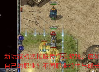 新玩家初次接触传奇类游戏,应如何选择适合自己的职业?不同职业特性与成长路线详解 新玩家初次接触传奇类游戏,应如何选择适合自己的职业?不同职业特性与成长路线详解