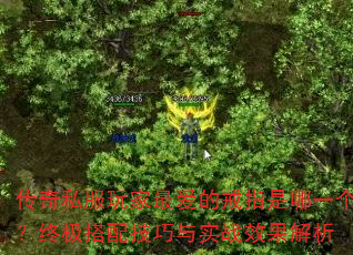 传奇私服玩家最爱的戒指是哪一个?终极搭配技巧与实战效果解析 传奇私服玩家最爱的戒指是哪一个?终极搭配技巧与实战效果解析