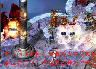 新手前期如何在传奇游戏中兼顾任务与刷毒蛇刷怪?这份高效升级攻略请收好 新手前期如何在传奇游戏中兼顾任务与刷毒蛇刷怪?这份高效升级攻略请收好