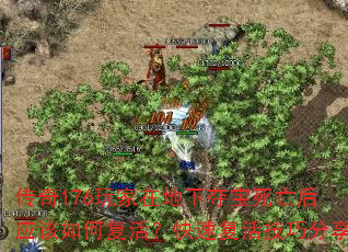 传奇176玩家在地下夺宝死亡后应该如何复活?快速复活技巧分享 传奇176玩家在地下夺宝死亡后应该如何复活?快速复活技巧分享