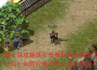 道士强攻路线在传奇私服中真的可行吗?如何打造高输出道士职业? 道士强攻路线在传奇私服中真的可行吗?如何打造高输出道士职业?