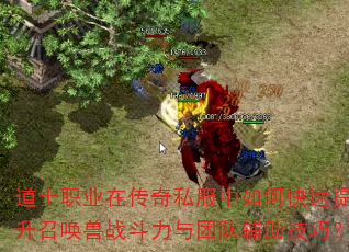 道士职业在传奇私服中如何快速提升召唤兽战斗力与团队辅助技巧? 道士职业在传奇私服中如何快速提升召唤兽战斗力与团队辅助技巧?