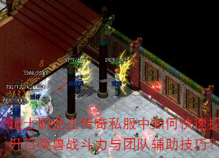 道士职业在传奇私服中如何快速提升召唤兽战斗力与团队辅助技巧? 道士职业在传奇私服中如何快速提升召唤兽战斗力与团队辅助技巧?