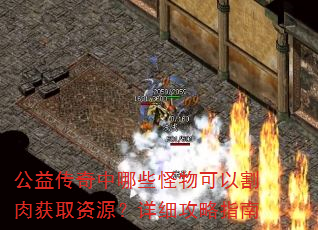公益传奇中哪些怪物可以割肉获取资源?详细攻略指南 公益传奇中哪些怪物可以割肉获取资源?详细攻略指南
