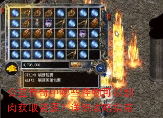 公益传奇中哪些怪物可以割肉获取资源?详细攻略指南 公益传奇中哪些怪物可以割肉获取资源?详细攻略指南