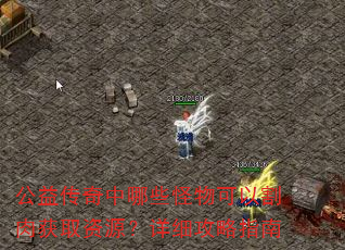 公益传奇中哪些怪物可以割肉获取资源?详细攻略指南 公益传奇中哪些怪物可以割肉获取资源?详细攻略指南