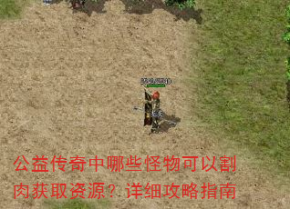 公益传奇中哪些怪物可以割肉获取资源?详细攻略指南 公益传奇中哪些怪物可以割肉获取资源?详细攻略指南