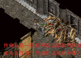 传奇私服一区低等级玩家如何突破胜者为王任务?高效打法技巧分享? 传奇私服一区低等级玩家如何突破胜者为王任务?高效打法技巧分享?
