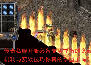 ����˽�������ر������ָ�����ػ�����ʵս�����������������