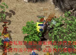 传奇私服开服玩家如何在沙巴克战斗中全程存活不阵亡?必备技巧有哪些? 传奇私服开服玩家如何在沙巴克战斗中全程存活不阵亡?必备技巧有哪些?