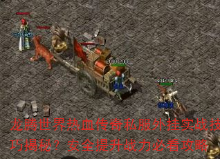 龙腾世界热血传奇私服外挂实战技巧揭秘?安全提升战力必看攻略 龙腾世界热血传奇私服外挂实战技巧揭秘?安全提升战力必看攻略
