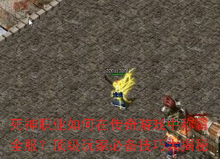 死神职业如何在传奇游戏中称霸全服?顶级玩家必备技巧大揭秘 死神职业如何在传奇游戏中称霸全服?顶级玩家必备技巧大揭秘