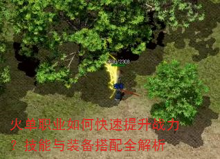 火单职业如何快速提升战力?技能与装备搭配全解析 火单职业如何快速提升战力?技能与装备搭配全解析