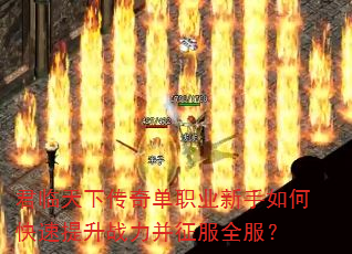 君临天下传奇单职业新手如何快速提升战力并征服全服? 君临天下传奇单职业新手如何快速提升战力并征服全服?