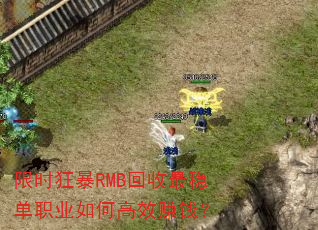 限时狂暴RMB回收最稳单职业如何高效赚钱? 限时狂暴RMB回收最稳单职业如何高效赚钱?