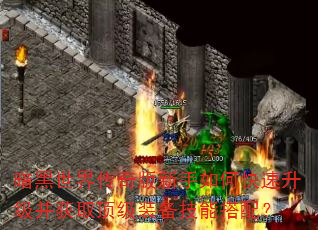 暗黑世界传奇版新手如何快速升级并获取顶级装备技能搭配? 暗黑世界传奇版新手如何快速升级并获取顶级装备技能搭配?