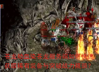 苍龙劫血染苍龙服务端如何快速获取稀有装备与突破战力瓶颈? 苍龙劫血染苍龙服务端如何快速获取稀有装备与突破战力瓶颈?