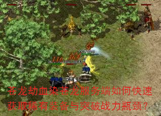 苍龙劫血染苍龙服务端如何快速获取稀有装备与突破战力瓶颈? 苍龙劫血染苍龙服务端如何快速获取稀有装备与突破战力瓶颈?
