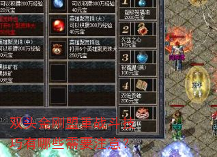 双头金刚盟重战斗技巧有哪些需要注意? 双头金刚盟重战斗技巧有哪些需要注意?