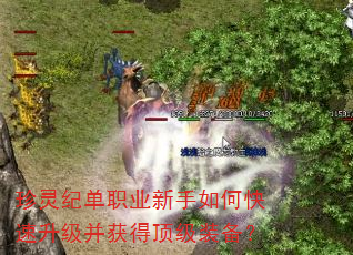 珍灵纪单职业新手如何快速升级并获得顶级装备? 珍灵纪单职业新手如何快速升级并获得顶级装备?