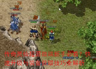 传奇灵仙起源微端新手必看?快速升级与装备获取技巧全解析 传奇灵仙起源微端新手必看?快速升级与装备获取技巧全解析