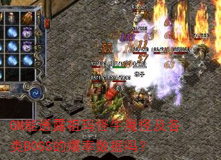 GM能透露祖玛怪牛魔怪及各类BOSS的爆率数据吗? GM能透露祖玛怪牛魔怪及各类BOSS的爆率数据吗?