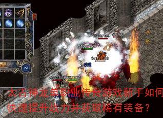 太古神龙单职业传奇游戏新手如何快速提升战力并获取稀有装备? 太古神龙单职业传奇游戏新手如何快速提升战力并获取稀有装备?