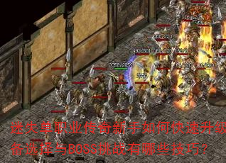 迷失单职业传奇新手如何快速升级?装备选择与BOSS挑战有哪些技巧? 迷失单职业传奇新手如何快速升级?装备选择与BOSS挑战有哪些技巧?