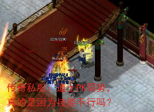 传奇私服:道士PK弱势,真的是因为技能不行吗? 传奇私服:道士PK弱势,真的是因为技能不行吗?