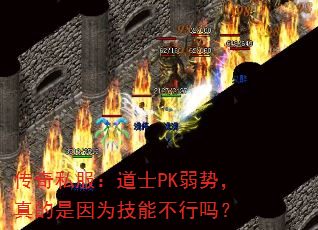 传奇私服:道士PK弱势,真的是因为技能不行吗? 传奇私服:道士PK弱势,真的是因为技能不行吗?