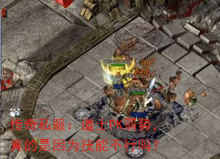传奇私服:道士PK弱势,真的是因为技能不行吗? 传奇私服:道士PK弱势,真的是因为技能不行吗?