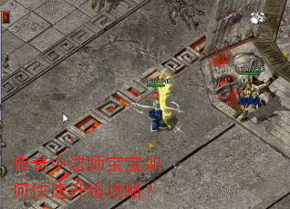 传奇中法师宝宝如何快速升级攻略? 传奇中法师宝宝如何快速升级攻略?