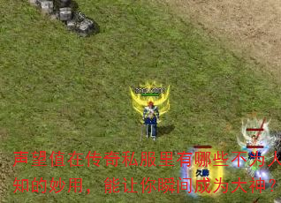 声望值在传奇私服里有哪些不为人知的妙用,能让你瞬间成为大神? 声望值在传奇私服里有哪些不为人知的妙用,能让你瞬间成为大神?