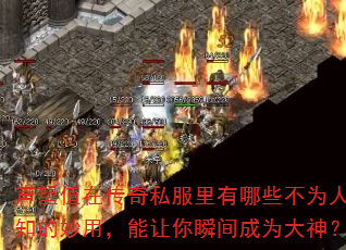 声望值在传奇私服里有哪些不为人知的妙用,能让你瞬间成为大神? 声望值在传奇私服里有哪些不为人知的妙用,能让你瞬间成为大神?