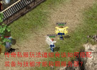 传奇私服玩法道组合该如何搭配装备与技能才能称霸服务器? 传奇私服玩法道组合该如何搭配装备与技能才能称霸服务器?