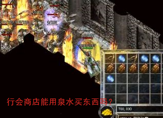 行会商店能用泉水买东西吗? 行会商店能用泉水买东西吗?