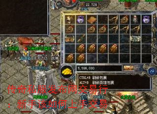 传奇私服发布网交易行:新手该如何上手交易 传奇私服发布网交易行:新手该如何上手交易